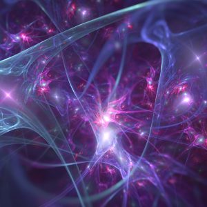 facia - the communicator