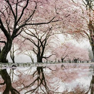 longing & relationship