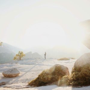 the invisible landscape