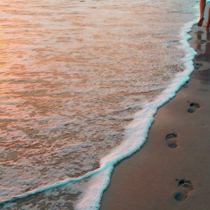 each step's potential