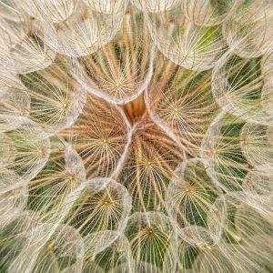 sixty-three: nine bands of seven